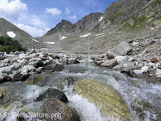 Foto: Ein erfrischender Bergbach (Mättitalwasser) fliesst ruhig zwischen zahlreichen Steinen und Felsblöcken hindurch. Im Hintergrund sind Steinejoch und Rothorn zu sehen.