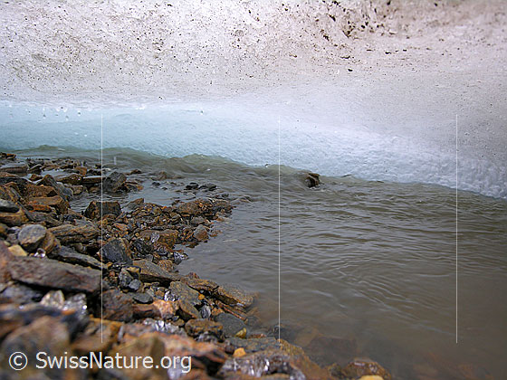 Foto: Gletscherbach am Gletschrrand des Rappegletschers. Das Wasser fliesst unter der Eisdecke hindurch. Subglazialer Schmelzwasserkanal.
