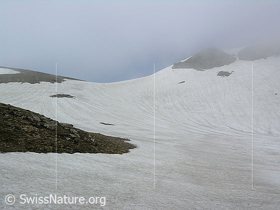 Foto: Im Aufstieg über ein Schneefeld zum Ammertenpass, über welchen Nebelschwaden ziehen.