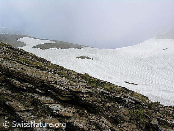 Foto: Blick über schöne Felsschichtungen und grosses Schneefeld zum Ammertenpass. Der leichte Nebel verleiht eine geheimnisvolle Stimmung.