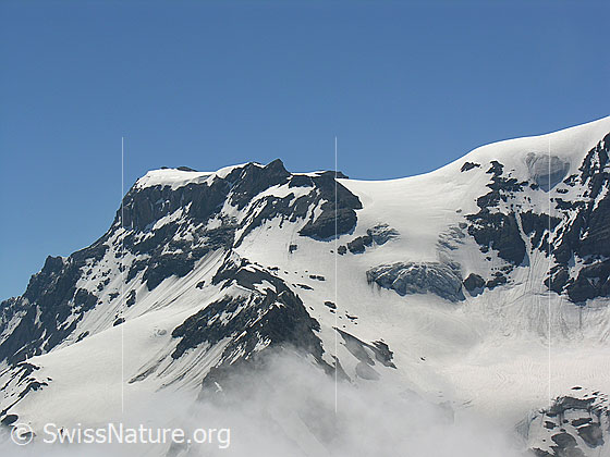 Foto: Blick zum Grossstrubel (Wildstrubel) mit Strubelgletscher, Ammertengrat und Ammertengletscher. Zu sehen ist der Verlauf der Normalroute (inkl. Frühstücksplatz) von der Engstligenalp. Rechts der Ansatz des Mittelstrubels.