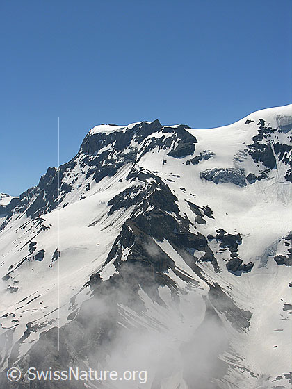 Foto: Blick zum Grossstrubel (Wildstrubel) mit Strubelgletscher, Ammertengrat und Ammertengletscher.  Zu sehen ist der Verlauf der Normalroute (inkl. Frühstücksplatz) von der Engstligenalp. Rechts der Ansatz des Mittelstrubels.