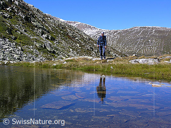 Foto: Spiegelung einer Person im Witentirsee. Im klaren Wasser sind die Steinplatten auf dem Grund des Bergsees zu sehen.