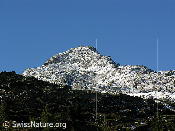 Foto: Blick vom Saflischtal zum leicht verschneiten Gibelhorn.
