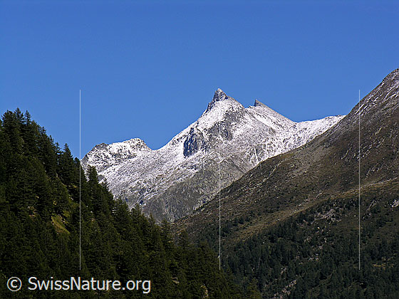 Foto: Chollerhorn, Unter Schinhorn und Grosses Schinhorn leicht mit Schnee überzuckert und von Steilhängen mit Wald umrahmt.