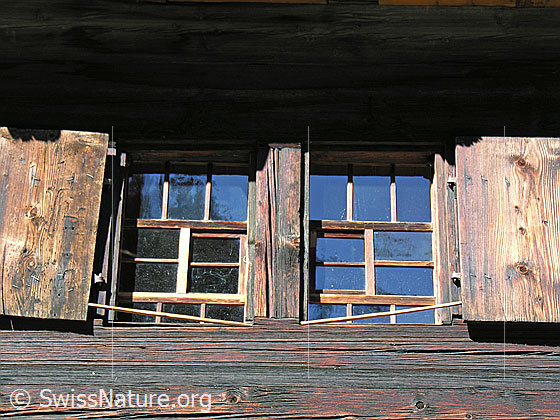 Foto: Fenster einer Alphütte.