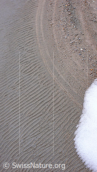 Foto: Feine Strukturen im Sand.