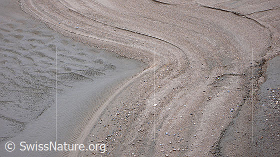 Foto: Natürliches Kunstwerk mit faszinierenden Formen und Strukturen im Sand.