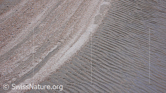 Foto: Strukturen im Sand.