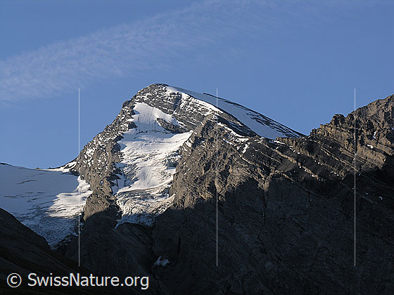 Foto: Rinderhorn von N
Gletscher: Seitenarm des Schwarzgletschers.