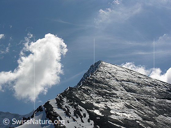 Foto: Altels von Norden.