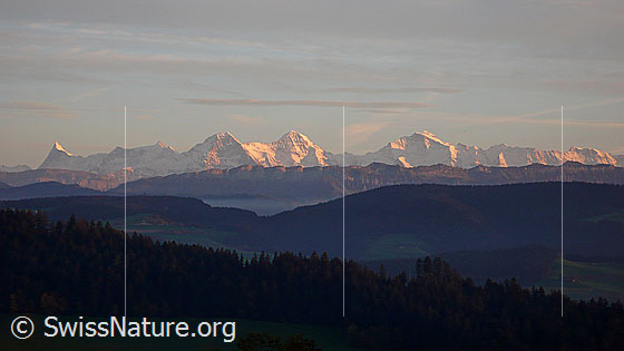 Foto: Abendstimmung über dem Emmental mit Eiger, Mönch und Jungfrau im Abendrot. Zwischen der bewaldeten Hügellandschaft und den Voralpen liegt eine feine Nebelschicht.