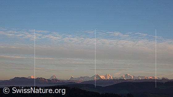 Foto: Abendstimmung mit den Berner Alpen. Zwischen der bewaldeten Hügellandschaft und den Voralpen liegt eine feine Nebelschicht.