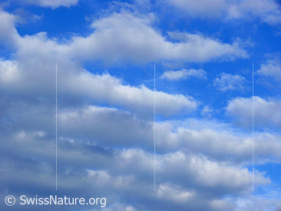 Foto: Helle Wolken und blauer Himmel.