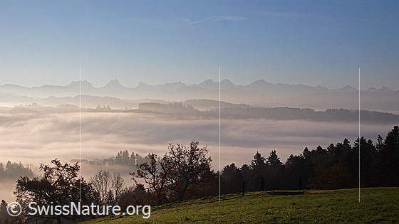 Foto: Nebelmeer über Sumiswald mit Berner Alpen im Hintergrund. Bewaldete Emmentaler Hügelzüge ragen aus dem Nebel.
