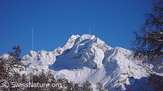 Foto: Ofenhorn umrahmt von Lärchen. Der Berg ist frisch verschneit und der Himmel blau.