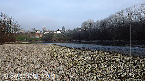 Foto: Kiesbank am Flussufer der Are.