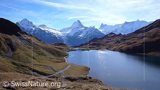 Foto: Blick auf den Bachalpsee zu den Berner Alpen mit Wetterhorn, Bärglistock, Lauteraarhorn, Schreckhorn, Kleines Schreckhorn, Finsteraarhorn, Ochs und Fiescherhörner. Dem Ufer entlang führt ein Wanderweg.