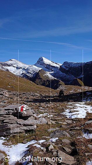 Foto: Auf dem Bergweg über Tierwang. Blick über das Hiendertellti zu leicht verschneitem Wildgärst, Schwarzhorn und Grosse Chrinne.