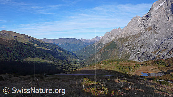 Foto: Blick von der Grossen Scheidegg ins Rosenlaui und auf die Engelhörner. Im Hintergrund ist die Region Hasliberg zu sehen.