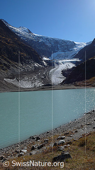 Foto: Gletscherzunge des Steingletschers, Gletschervorfeld und Steinsee.
