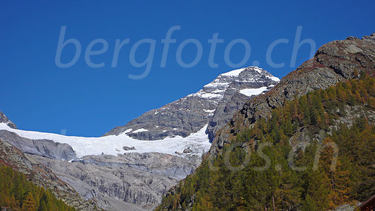 Foto: Wetterlücke, Inner Talgletscher und Lauterbrunnen Breithorn von Fafleralp, Lötschental, in herbstlich gefärbter Berglandschaft mit Lärchenwald und darüber blauem Himmel.