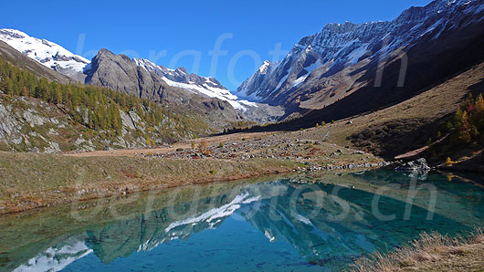 Foto: Spiegelung von Grosshorn, Jegichnubel, Lötschenlücke, Sattelhorn, Distlighorn und Schinhorn im Grundsee. Hochtal und Lärchenwald sind herbstlich gefärbt.