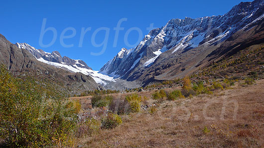 Foto: Herbstfarben im Hochmoor Grund, Lötschental. Im Hintergrund sind Anungrat, Anuchnubel, Lötschenlücke und Langgletscher, Sattelhorn, Distlighorn und Schinhorn zu sehen.