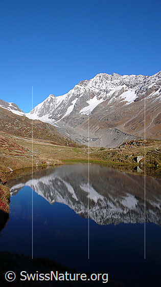 Foto: Spiegelung im Guggisee.
Gipfel und Übergänge: Lötschenlücke - Sattelhorn - Schinhorn.
Gletscher: Langgletscher