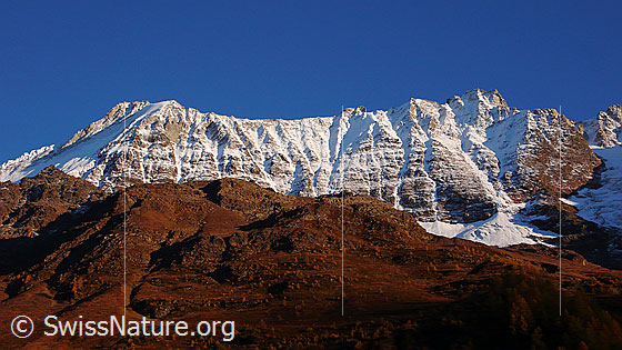 Foto: Lötschentaler Breithorn und Breitlauihorn. In der Falllinie des Breitlauihorns ist ein Teil des Loibinbachgletschers zu sehen.. Das Bergmassiv ist verschneit und die Berghänge im Vordergrund sind herbstlich gefärbt.