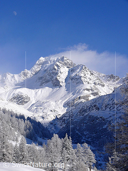 Foto: Frisch verschneite Berglandschaft mit Lärchenwald und Wolke im Gipfelbereich des Ofenhorns.