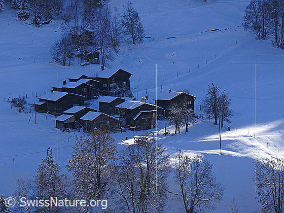 Foto: Winterlandschaft mit Weiler Hockmatta.