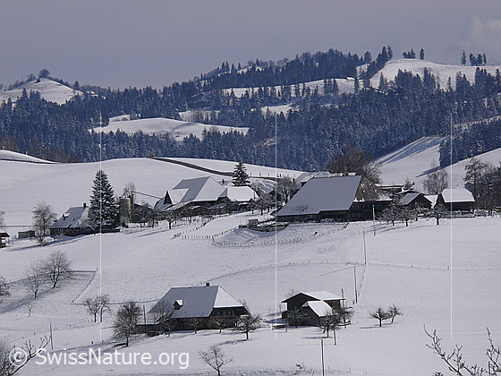 Foto: Weiler mit Emmentaler Bauernhöfen in schneebedeckter Hügellandschaft.