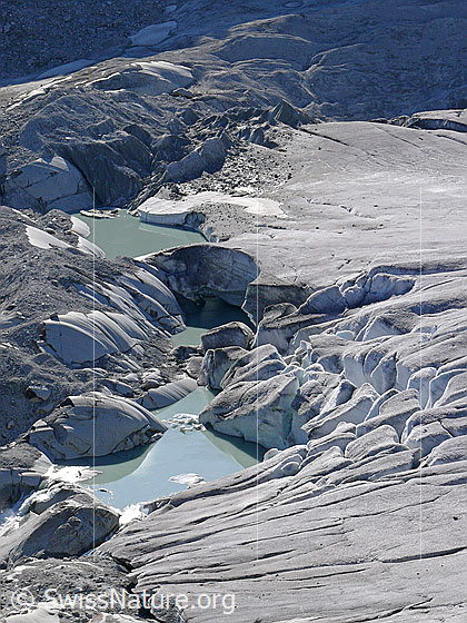 Foto: Ursprung der Rhone. Gletscherzunge des Rhonegletschers mit Gletscherabbruch in einen neu entstandenen Gletschersee. Der Gletscher hat auf seinem Rückzug einen Felsriegel freigelegt an welchem sich das Wasser nun staut. Durch weiteres Abschmelzen des Gletschers wird sich der See vergrössern und im Laufe der Zeit eine Naturgefahr darstellen.
