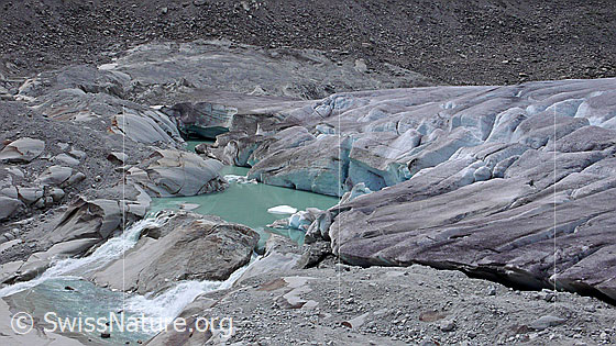 Foto: Gletschersee an der Quelle der Rhone. Gletscherzunge und Gletschertor des Rhonegletschers münden in einen neu entstandenen Gletschersee. Der Gletscher hat auf seinem Rückzug einen Felsriegel freigelegt, an welchem sich das Wasser nun staut. Durch weiteres Abschmelzen des Gletschers wird sich der See vergrössern und im Laufe der Zeit eine Naturgefahr darstellen.
