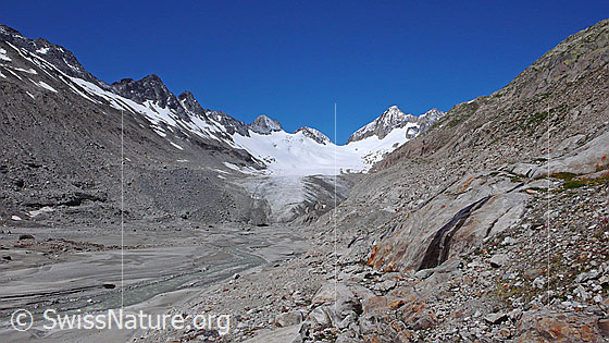 Foto: Gletschervorfeld, Mäander, Gletschertor und Gletscherzunge des Oberaargletschers. Im Hintergrund sind Roossehörner, Oberaar-Rothorn, Nollen, Oberaarjoch und Oberaarhorn zu sehen.
