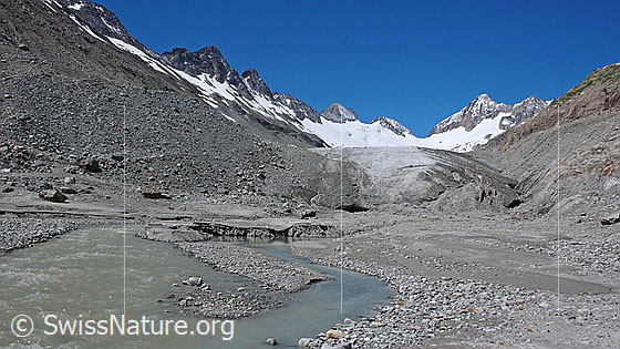 Foto: Schwemmlandschaft mit Gletscherbach im Vorfeld des Oberaargletschers. Im Hintergrund sind Gletschertor und Gletscherzunge sowie Roossehörner, Oberaar-Rothorn, Nollen, Oberaarjoch und Oberaarhorn zu sehen.
