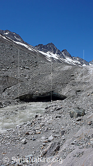 Foto: Am Gletschertor des Oberaargletschers. Gletschermilch fliesst als Gletscherbach aus dem breiten Tor. Das Eis der Gletscherzunge ist teilweise mit Geröll bedeckt. Im Hintergrund sind die Roossehörner zu sehen.
