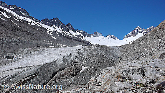 Foto: Gletscherzunge, Gletscherrand, Seitenmoräne und Gletscherschliff des Oberaargletschers. Im Hintergrund sind Roossehörner, Oberaar-Rothorn, Nollen, Oberaarjoch und Oberaarhorn zu sehen. Durch den Gletscherrückzug sind in der Gletscherzunge grössere Löcher entstanden, in denen Felsen zum Vorschein kommen.
