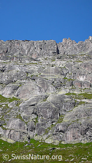 Foto: Felswand mit Felsstufen, abgeschliffenen Felsen und Grasbändern.