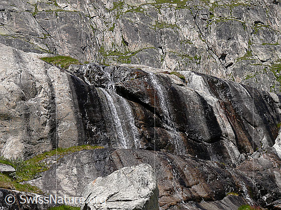 Foto: Fels und Wasser.
Wasser rinnt über eine abgeschliffene Felsstufe am Fuss einer Felswand. Im Vordergrund liegt ein Felsblock.