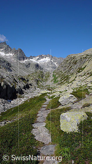 Foto: Bergweg im Bächlital mit Blick zu Brünberg und Brandlammhorn.