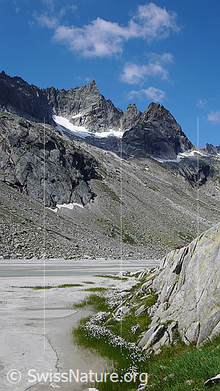 Foto: Brünberg und Sandbänke in der Schwemmebene des Bächlisboden (Haslital). Fels und Wollgras säumen das Ufer eines Wasserlaufs.