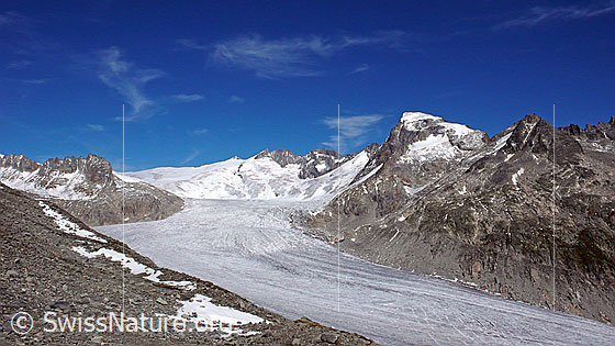 Foto: Blick über den Rhonegletscher zu Dammastock, Rhonestock, Tiefenstock und Galenstock.