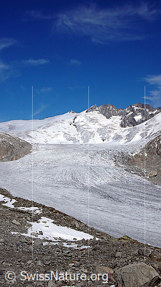 Foto: Blick über den Rhonegletscher zu Dammastock, Rhonestock und Tiefenstock.
