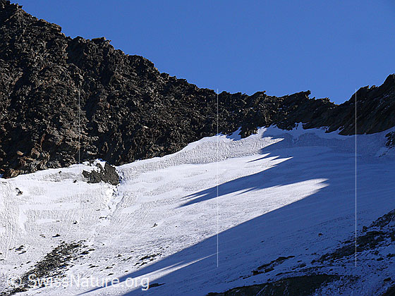 Foto: Hohlaubgletscher und Lagginjoch.