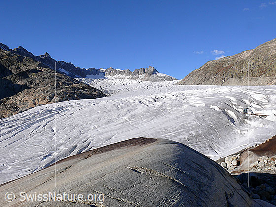 Foto: Hintere Gelmerhörner und Gletscherlandschaft Rhonegletscher mit abgeschliffenem Fels im Vordergrund (Gletscherschliff, Aaregranit).
