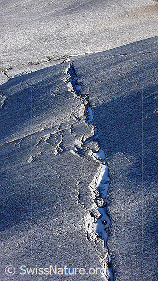 Foto: Riss im Gletscherschliff (Aaregranit).
