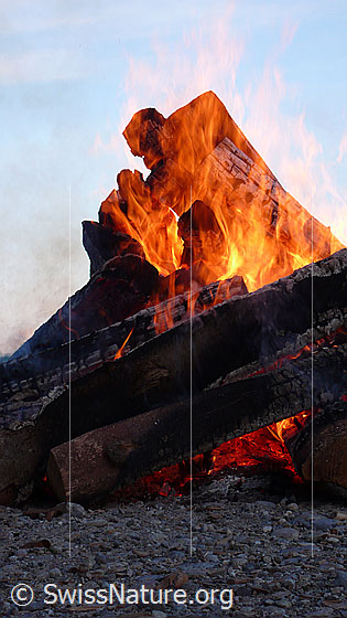 Foto: Feuer (Lagerfeuer).