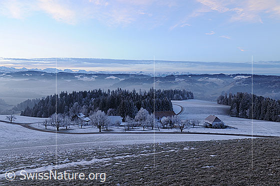 Foto: Winterlandschaft des Emmentals mit Raureif. Blick über den Baumgarten eines Bauernhofs, Emmentaler Wälder und Hügel zu den Berner Voralpen.